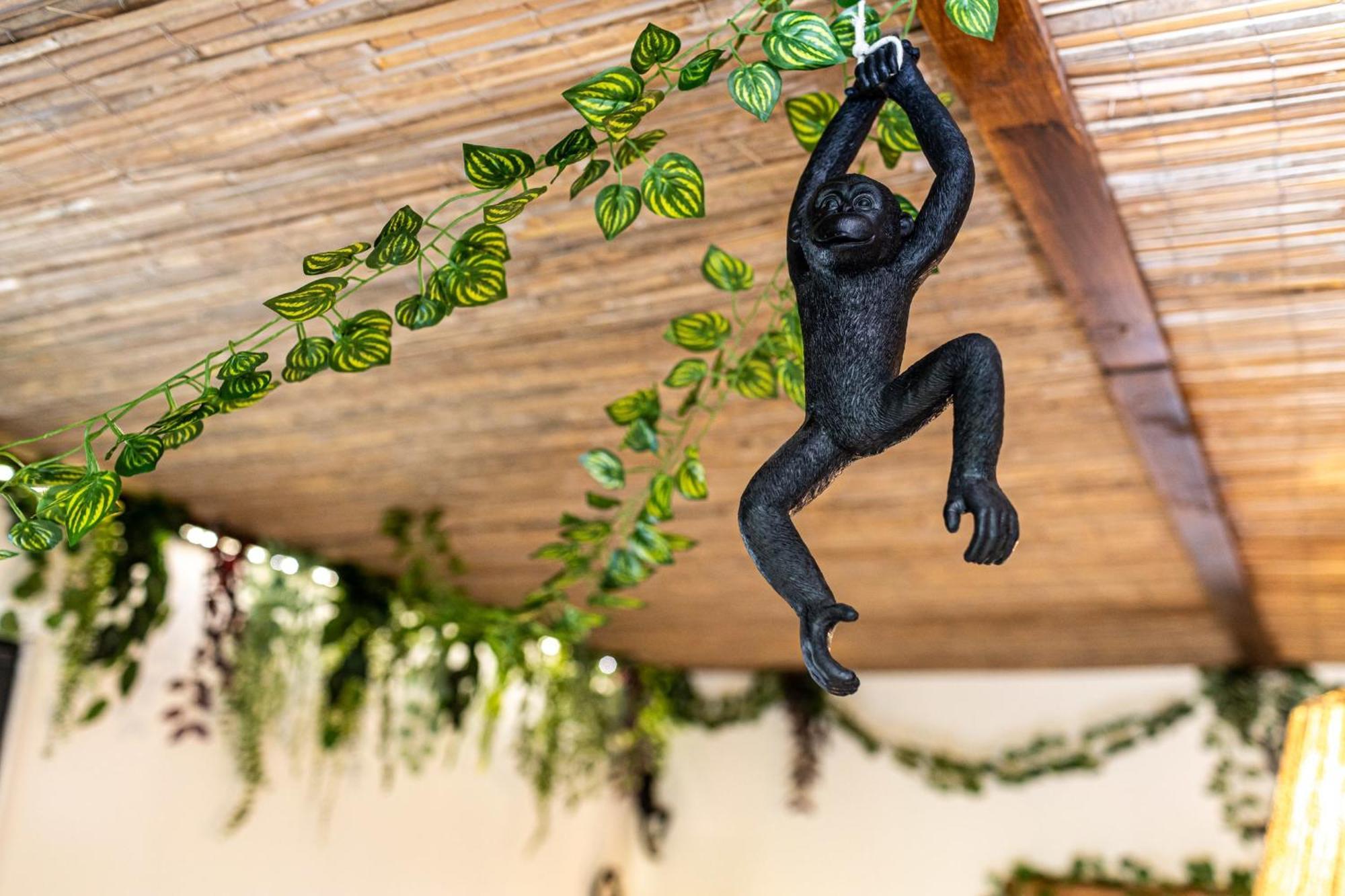 Le Repaire De Simba - Near Disneyland Paris Montévrain Zewnętrze zdjęcie
